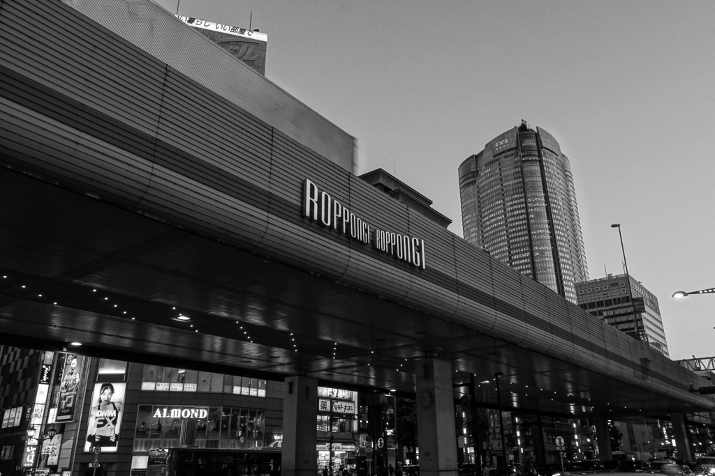 Monochrome Tokyo