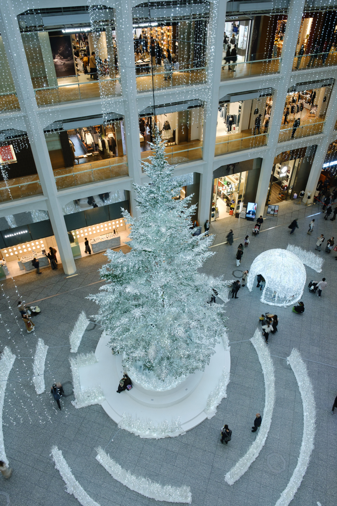 高いところから失礼します。