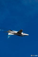 Blues in the blue sky.