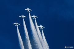 Blues in the blue sky.