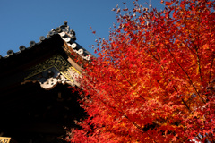 Autumn has come