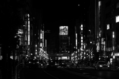 Monochrome Tokyo