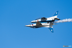Blues in the blue sky.