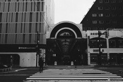 北の大地