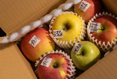 アップルアソート