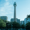 The tower