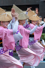 高円寺阿波踊り