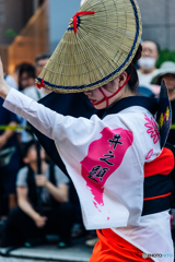 三鷹阿波踊り