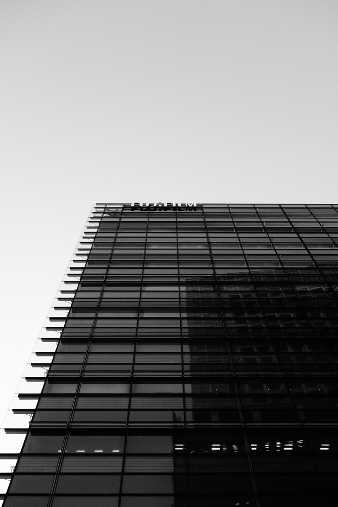 Monochrome Tokyo
