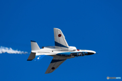 Blues in the blue sky.