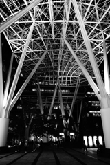 Monochrome Tokyo
