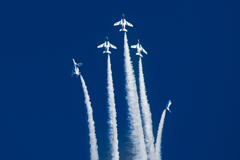 Blues in the blue sky.