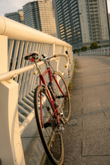 Sunset cycling