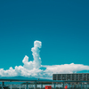 (夏)来ちゃった。