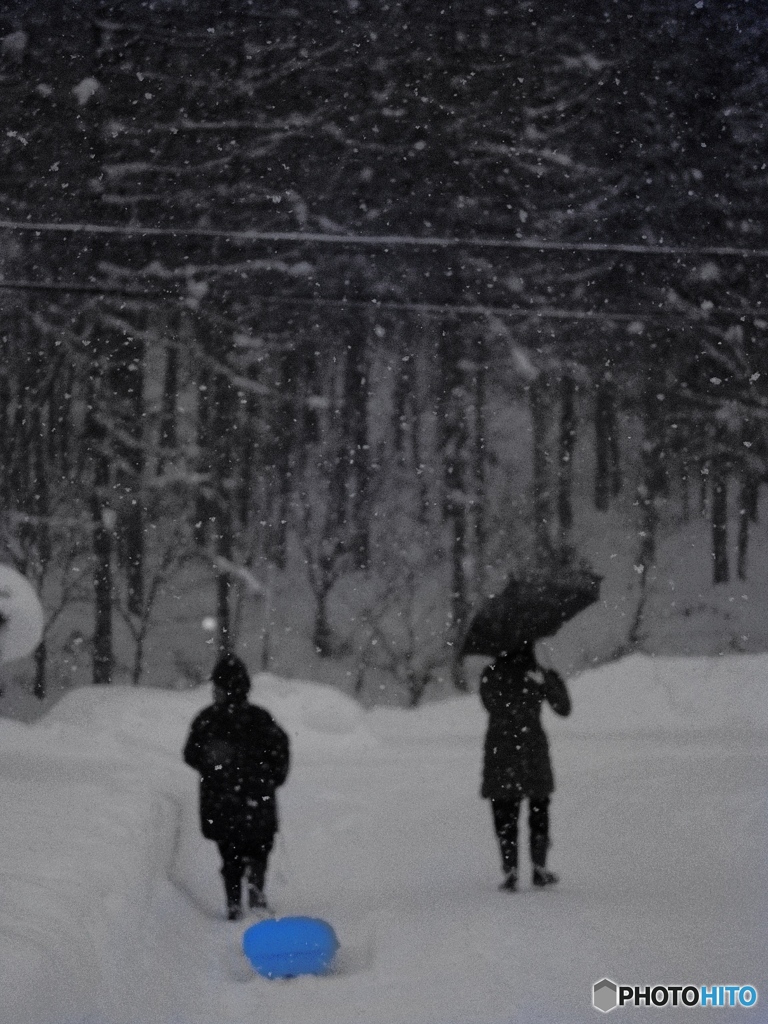 Play sledding in the heavy snow