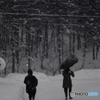 Play sledding in the heavy snow