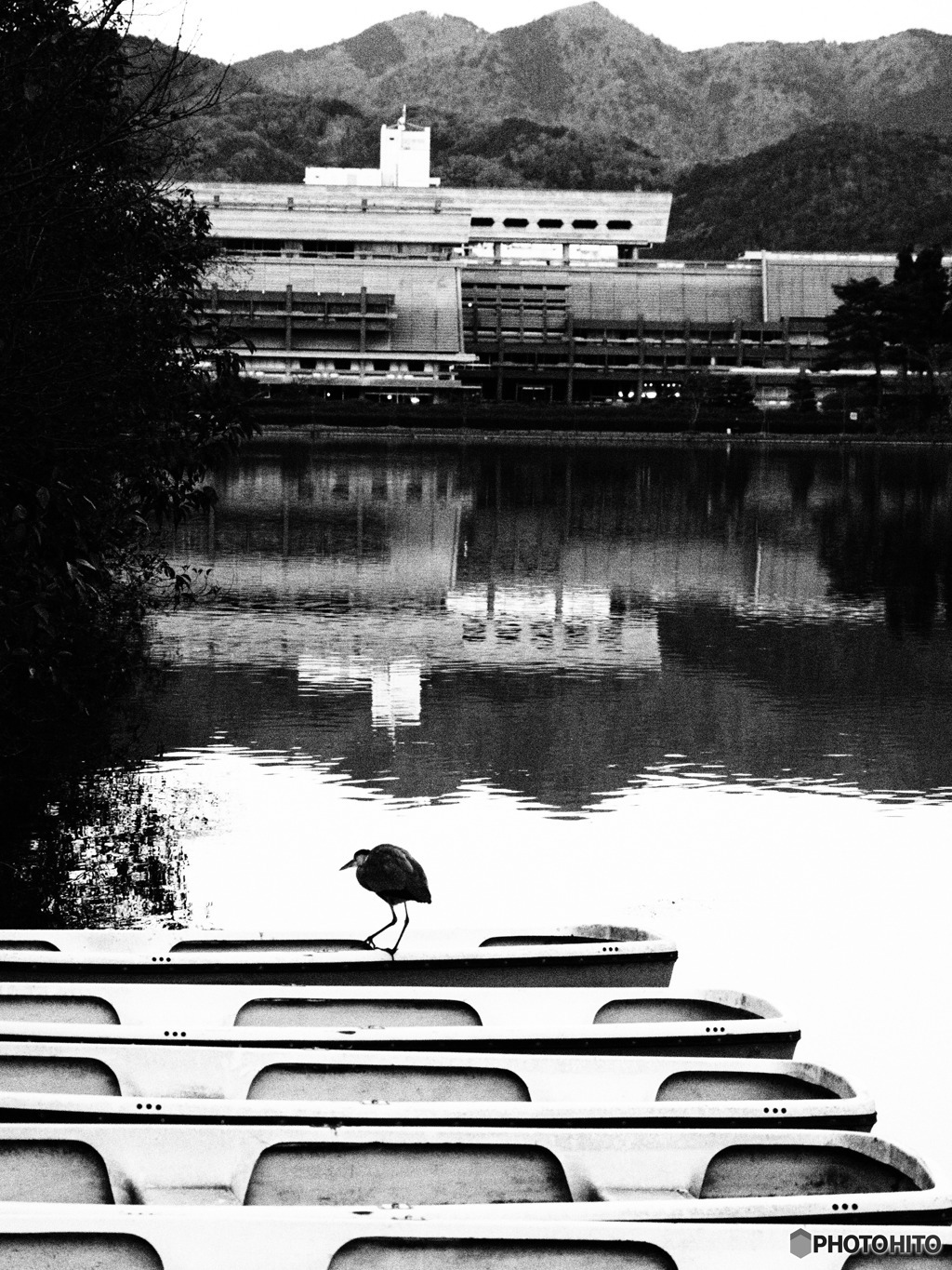 抜き足、差し足、忍び足