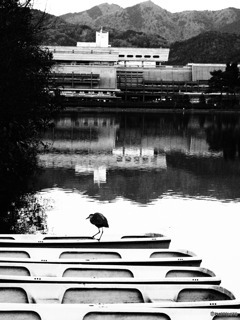 抜き足、差し足、忍び足