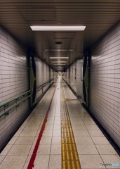 A long, dark, and terrifying road