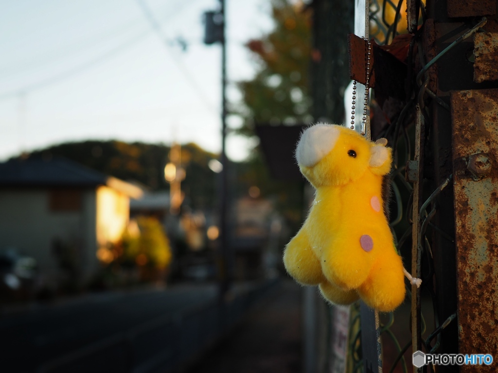 autumn twilight ~ a forgotten 