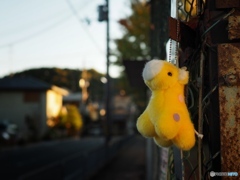 autumn twilight ~ a forgotten 