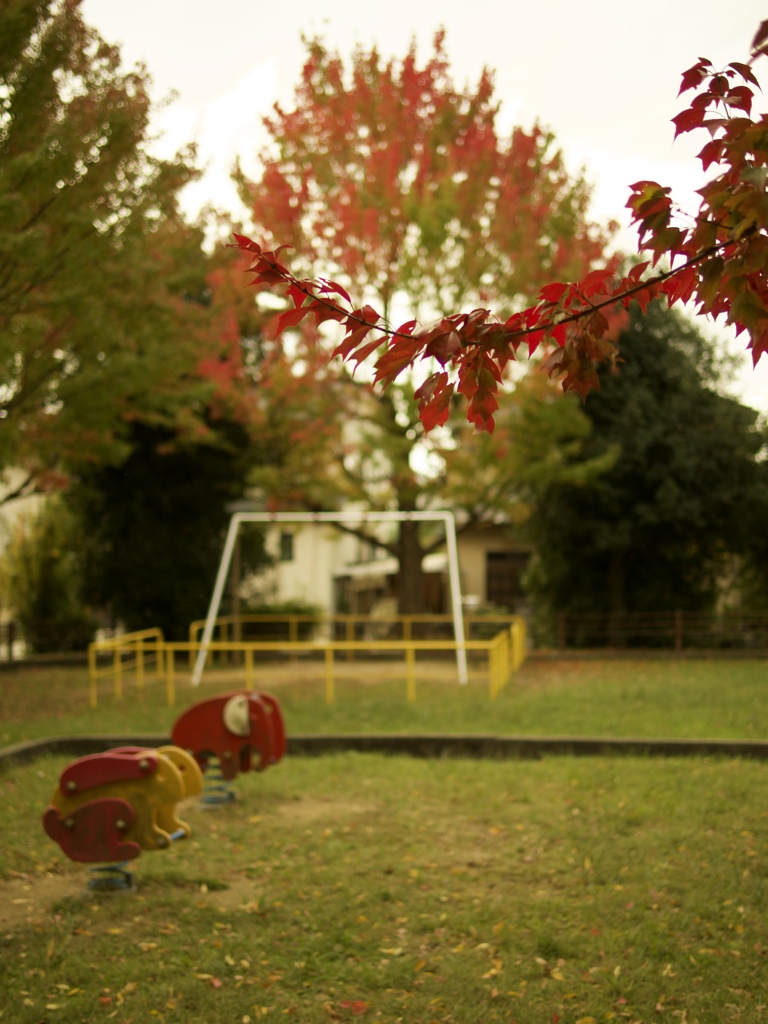 Autumn in the park