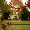 Autumn in the park
