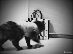 I’m so curious,so curious 