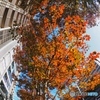 Autumn in the city