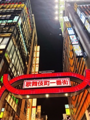 Sleepless city