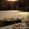 A drifting autumn boat