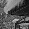 In the ice world