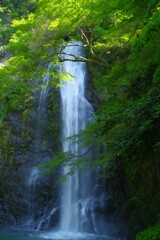 箕面大滝
