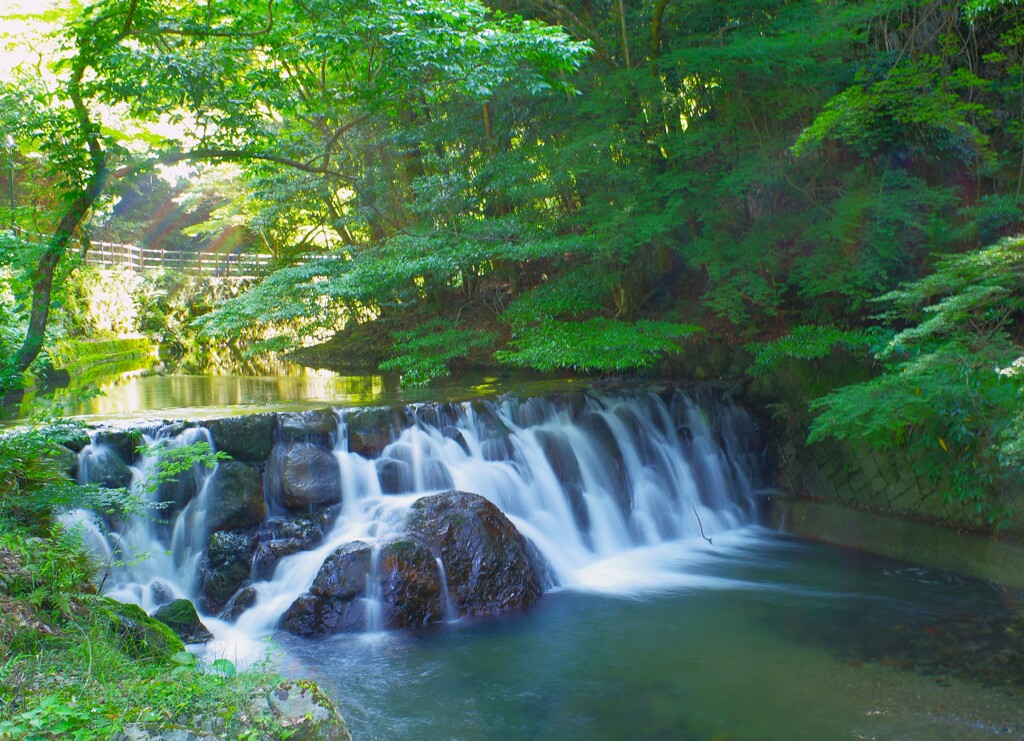 夏の涼