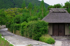 嵯峨野
