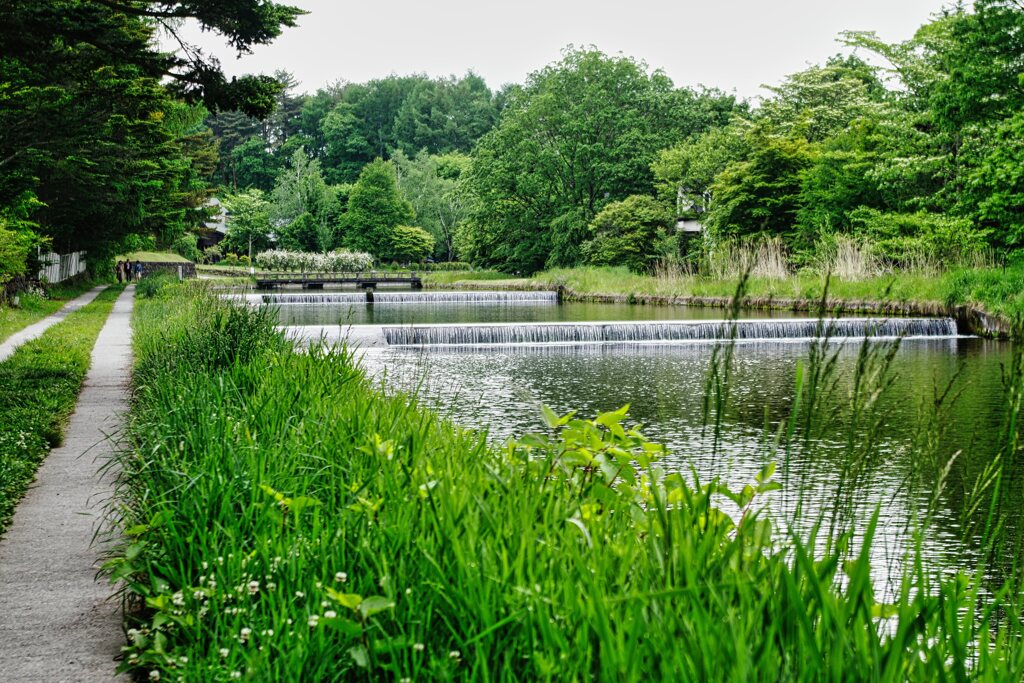 中山道を歩く　千ヶ滝湯川用水温水路