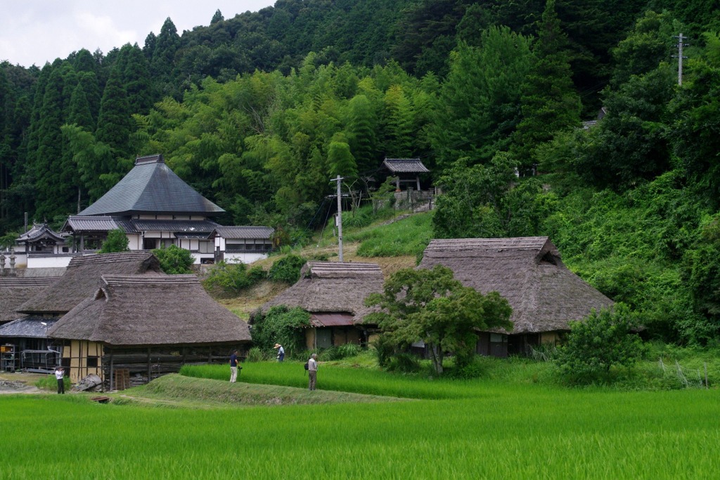 岡山　八塔寺ふるさと村