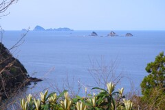 室手海岸