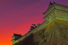 櫓