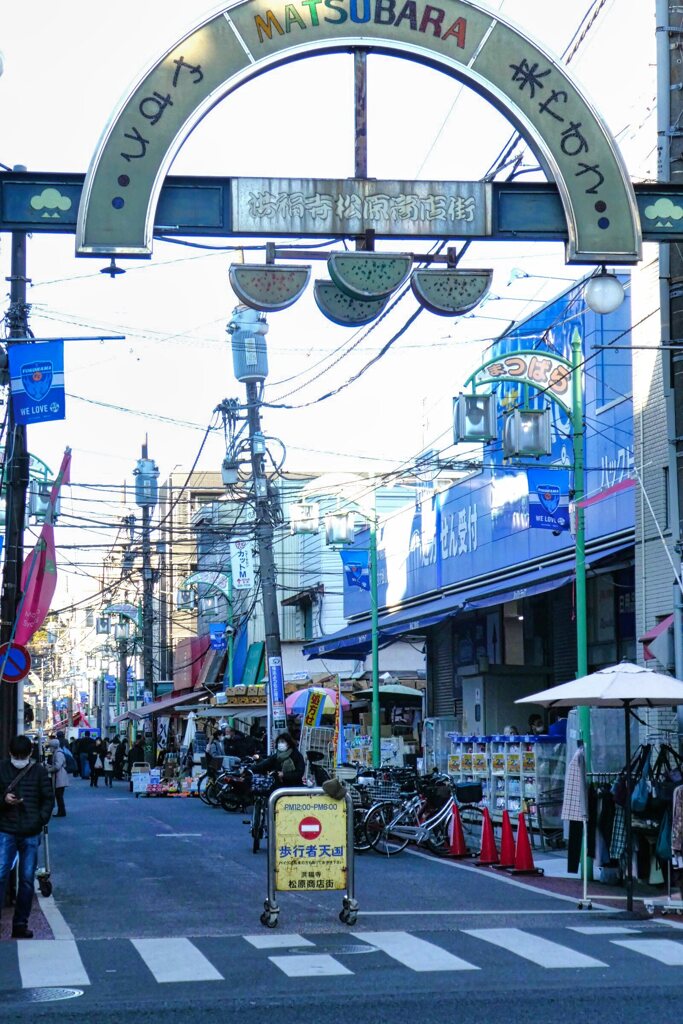 東海道を歩く　洪福寺松原商店街