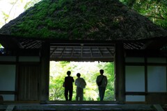 法然院の春