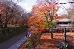 小諸　懐古園