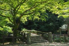 石橋