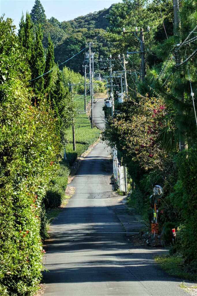 東海道を歩く　佐夜の中山