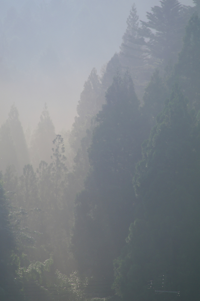朝霞