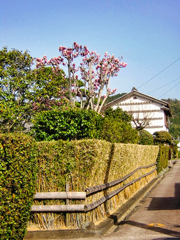 2006年　安芸