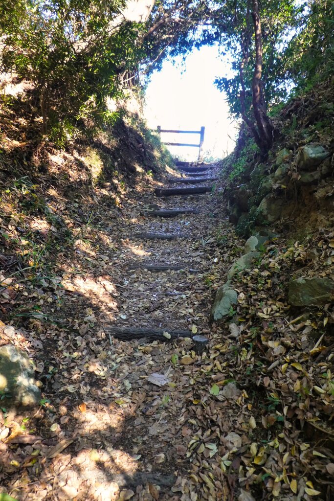 東海道を歩く　薩埵峠へ向かう切通し