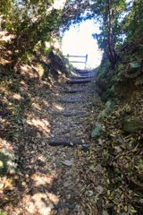 東海道を歩く　薩埵峠へ向かう切通し