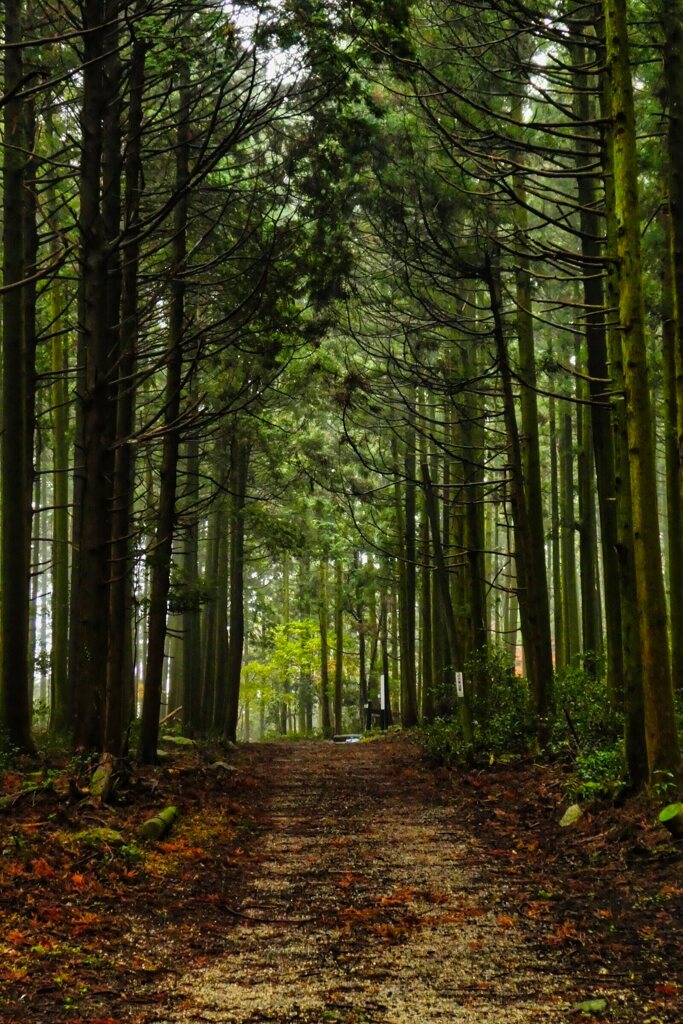東海道を歩く　鈴鹿峠