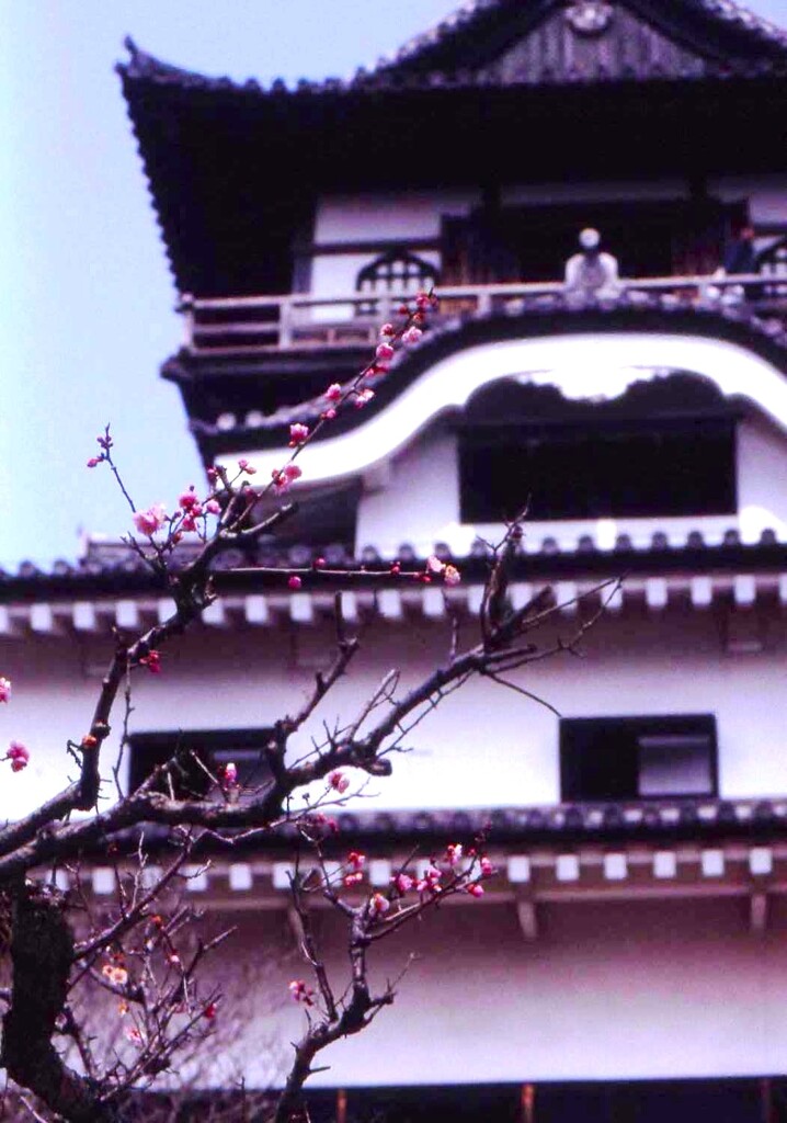 犬山城